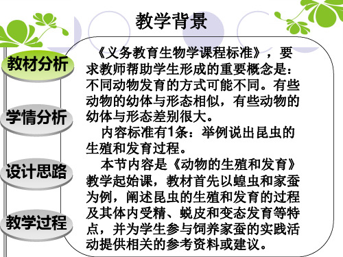 昆虫的生殖和发育说课邱艳婷