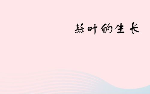 2020春五年级数学下册二折线统计图蒜叶的生长教学课件苏教版