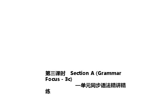 Unit 2 This is my sister. 第三课时 Section A (Grammar Focus-3c)