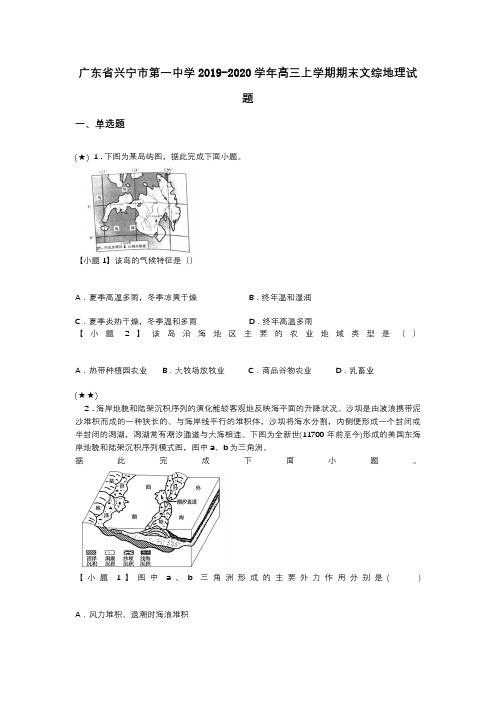 广东省兴宁市第一中学2019-2020学年高三上学期期末文综地理试题(word无答案)