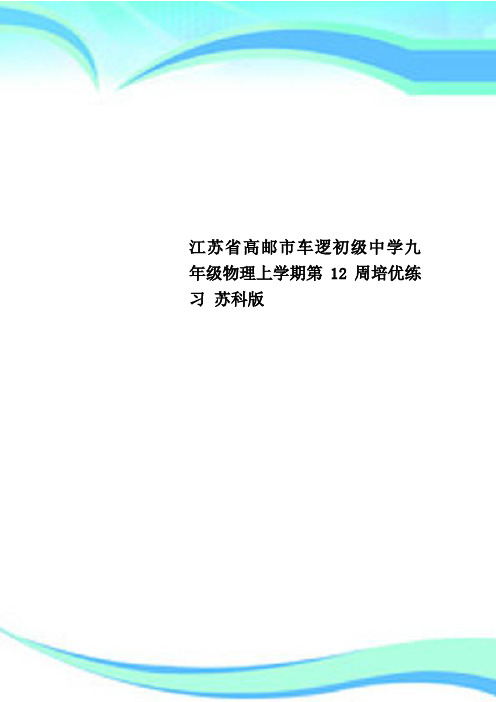 江苏省高邮市车逻初级中学九年级物理上学期第12周培优练习 苏科版