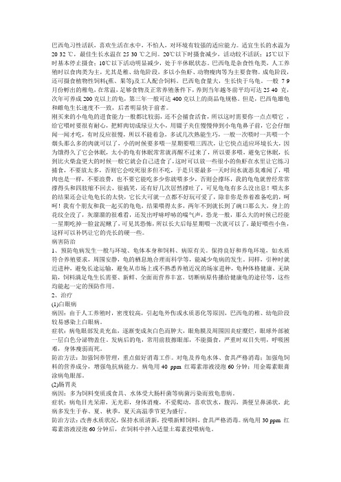 巴西龟习性活跃