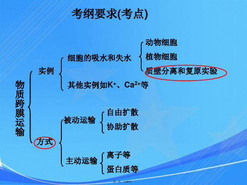 高三一轮复习物质跨膜运输的方式和实例