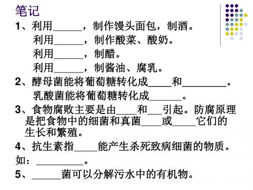 人类对细菌和真菌的利用222