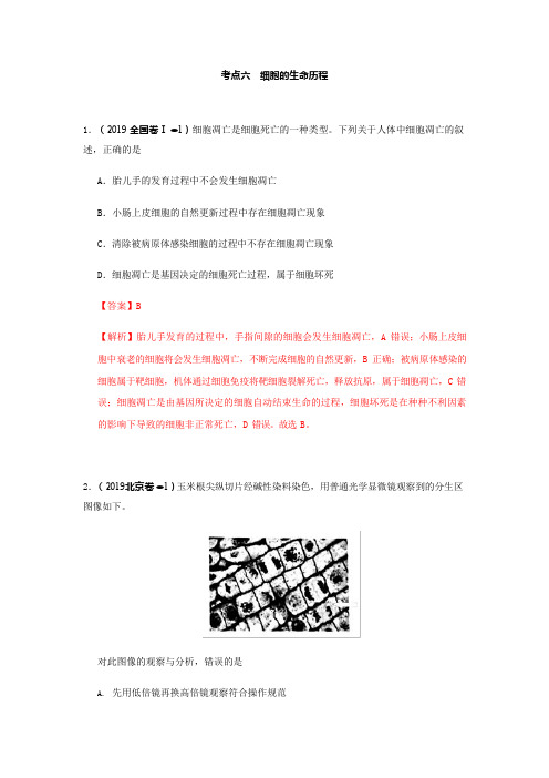 高考生物真题分类汇编2019版专题六：细胞的生命历程