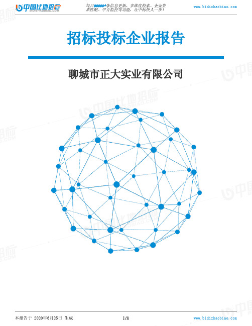 聊城市正大实业有限公司-招投标数据分析报告