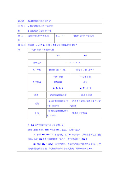 基因指导蛋白质的的合成说课稿 教案 教学设计