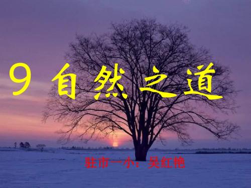 《自然之道》ppt课件