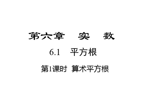 最新人教版初一数学下册第六章实数全单元ppt课件