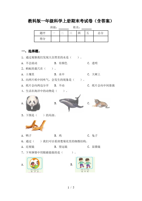 教科版一年级科学上册期末考试卷(含答案)