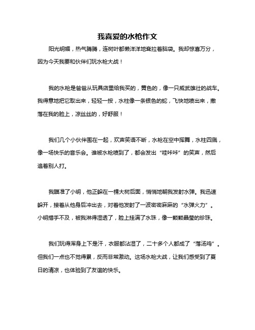 我喜爱的水枪作文