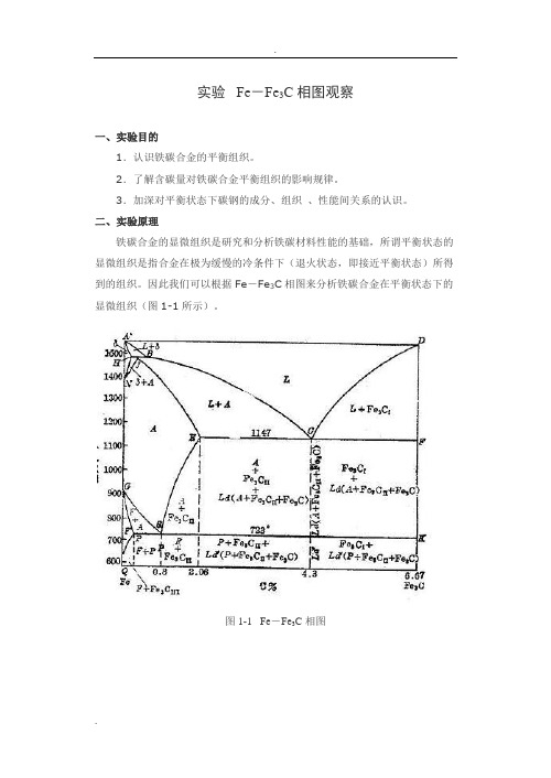 实验铁碳合金平衡组织观察