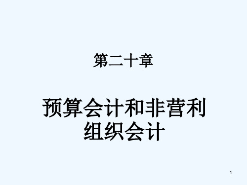 预算会计与非营利组织会计介绍