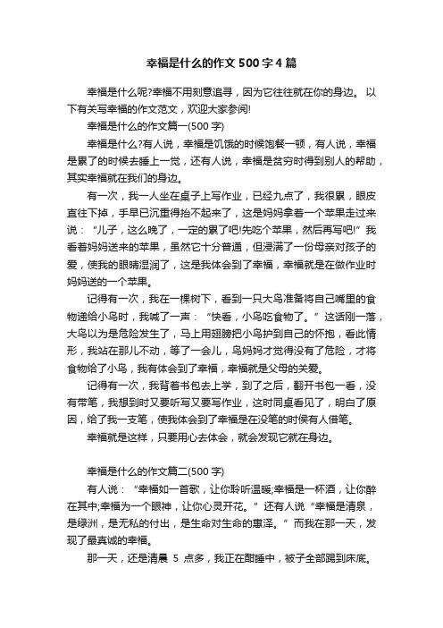 幸福是什么的作文500字4篇