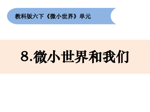 《微小世界和我们》小学科学六年级下册PPT课件