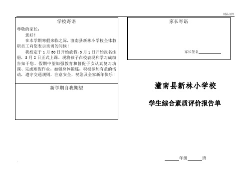 学生综合素质评价报告单2