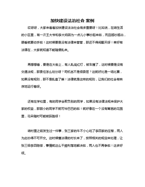 加快建设法治社会 案例