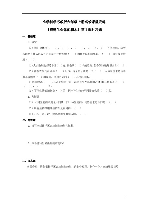 小学科学苏教版六年级上册高效课堂《搭建生命体的积木》习题