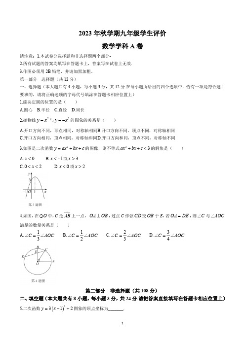 江苏省泰州市兴化市2023-2024学年九年级上学期11月月考数学试题(含答案)