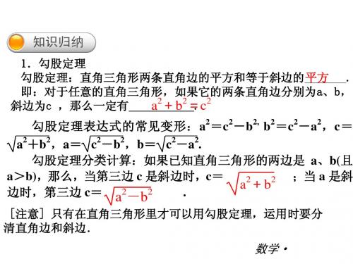 2014中考八年级数学上册复习课件(知识归纳+考点攻略+方法技巧)：第13章 整式的乘除(2份,华师大版)