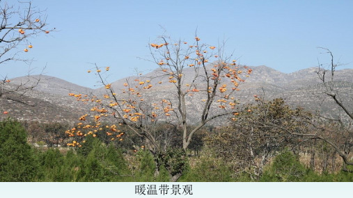 八年级地理上册  第二章中国的自然环境第二节气候第1课时我国冬夏气温的分布特点及影响课件16-20