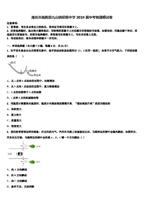 潍坊市临朐县九山镇初级中学2024届中考物理模试卷含解析