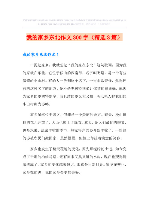 我的家乡东北作文300字(精选3篇)