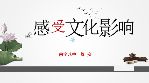 《感受文化影响》年优质课比赛ppt课件