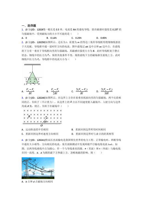 河南科技大学附属高级中学高中物理选修二第一章《安培力与洛伦兹力》测试卷(含答案解析)