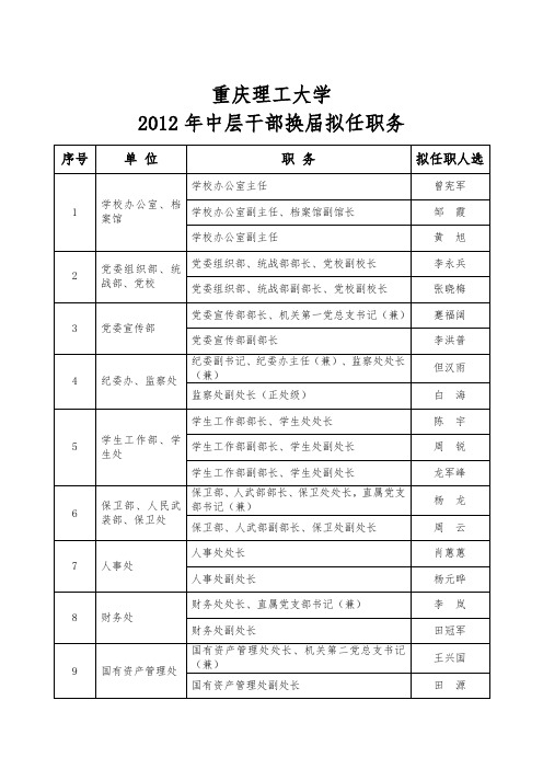 (重庆理工大学)2012新提任干部情况简介_(2)