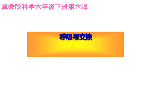 六年级科学下册课件6呼吸与交换69冀人版8张(共8张PPT)