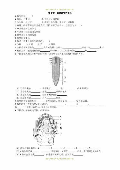 最新北师版七年级上册生物一课一练第2节 营养器官的生长课时检测(1)