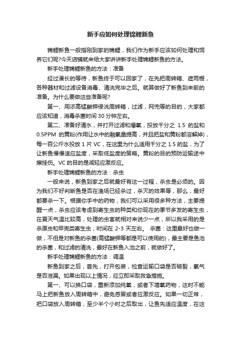 新手应如何处理锦鲤新鱼