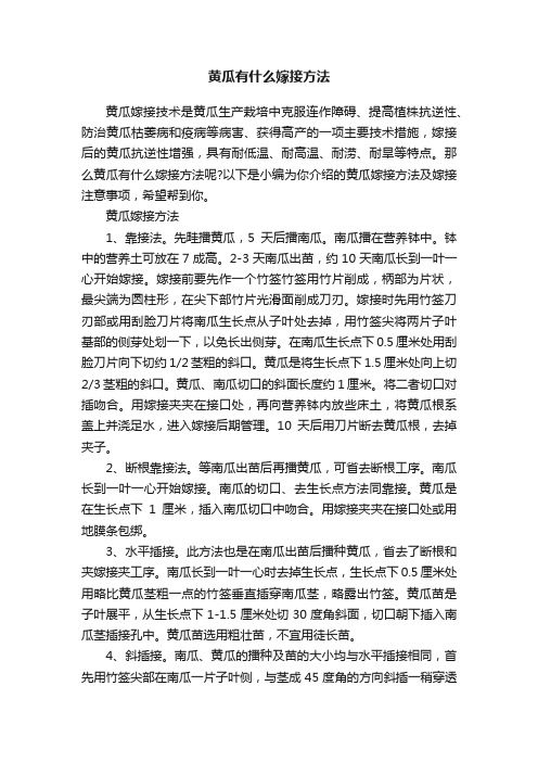 黄瓜有什么嫁接方法