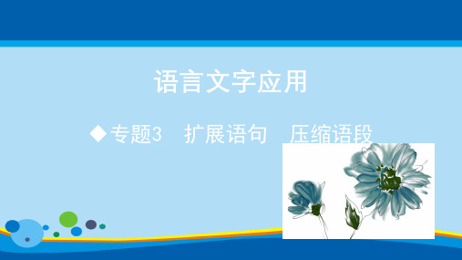 2020《600分考点 700分考点 A版 高考语文》(山东专用)插册  语言文字应用 专题3.扩展语句 压缩语段(共66