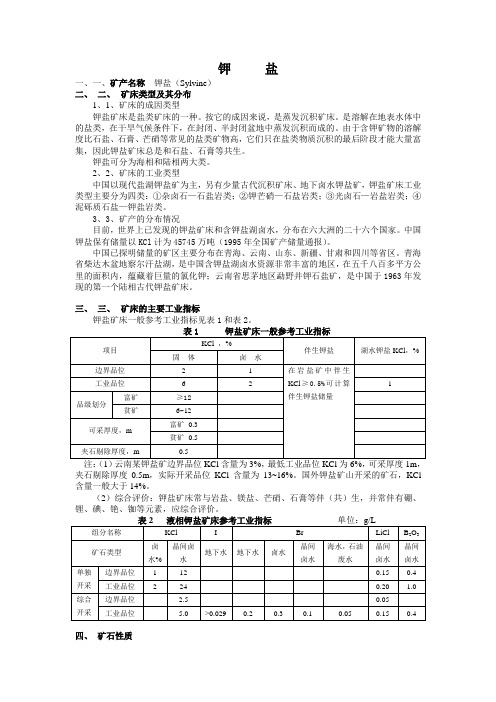 钾盐矿基础资料资料