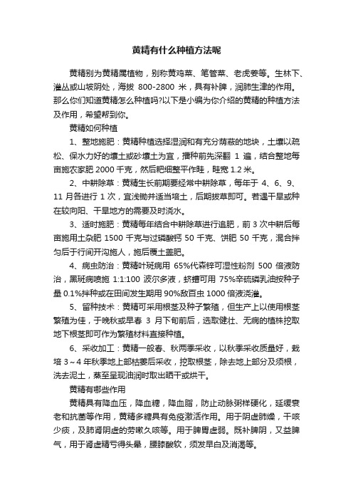 黄精有什么种植方法呢