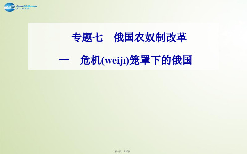 高中历史 专题七、一危机笼罩下的俄国课件 人民版选修1