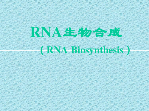 rna生物合成