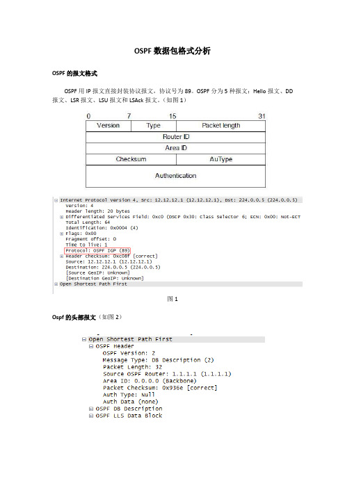 ospf数据包格式分析