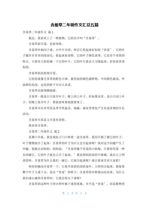 含羞草二年级作文汇总五篇