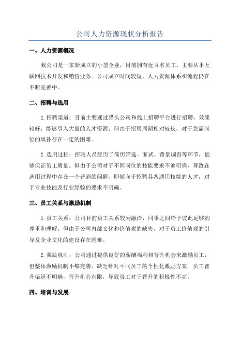 公司人力资源现状分析报告