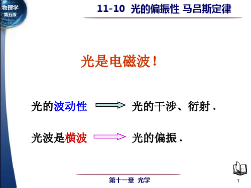 11-10光的偏振性 马吕斯定律