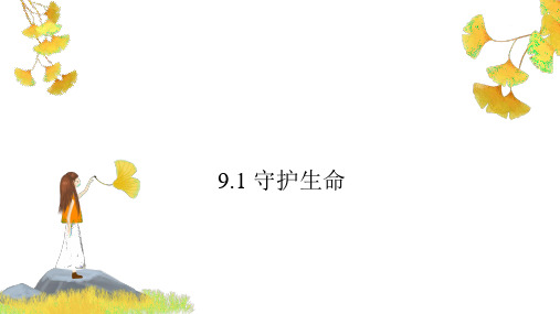 9.1 守护生命 课件(24张PPT)-2023-2024学年部编版道德与法治七年级上册