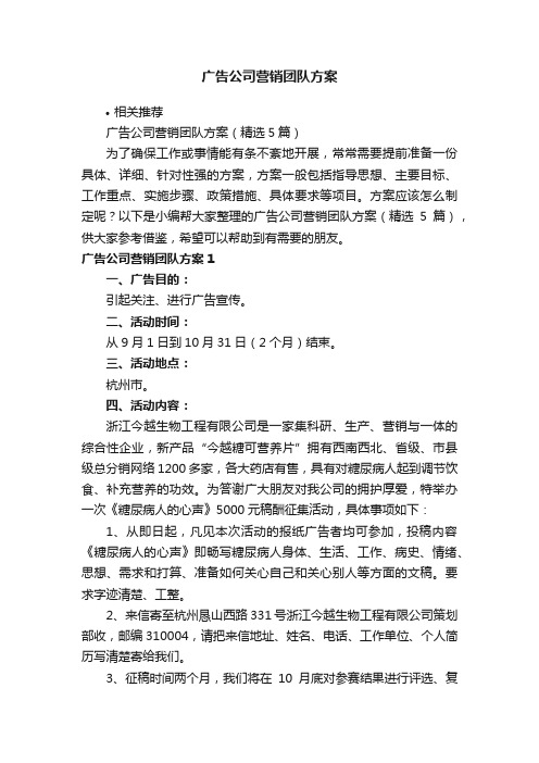 广告公司营销团队方案