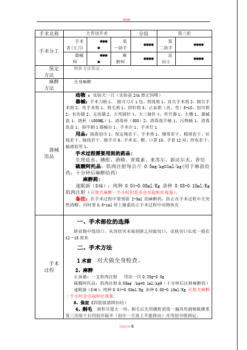 犬胃切开术计划方案