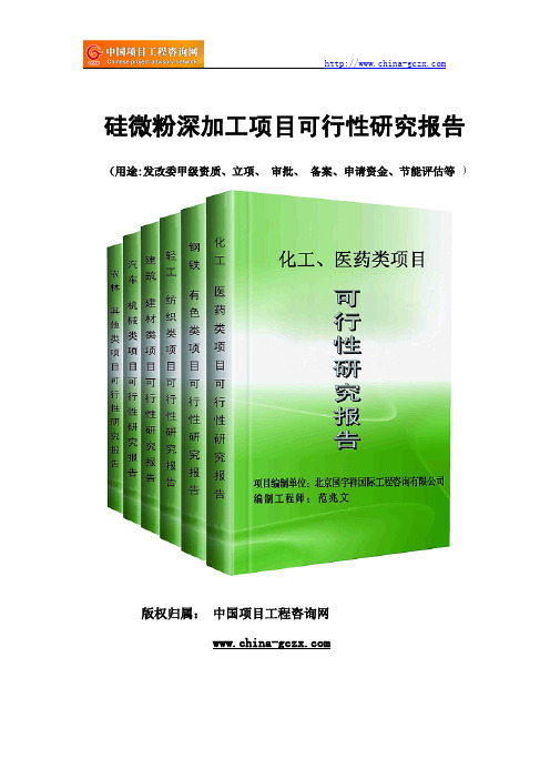 硅微粉深加工项目可行性研究报告范文格式(专业经典案例)