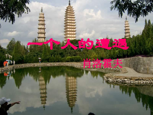 一个人的遭遇PPT优选课件