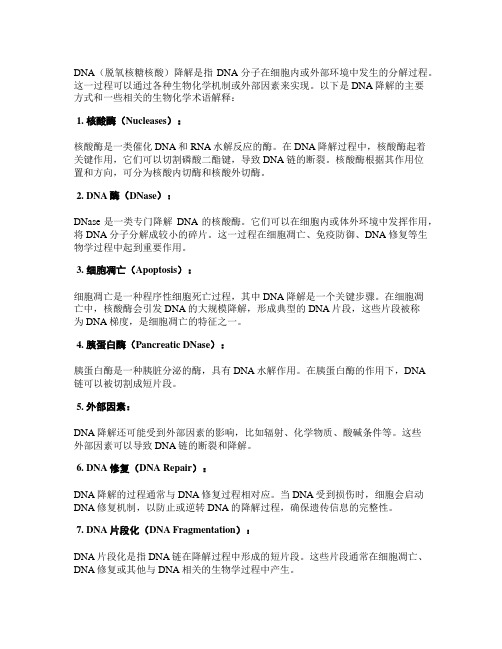 dna降解的名词解释生物化学