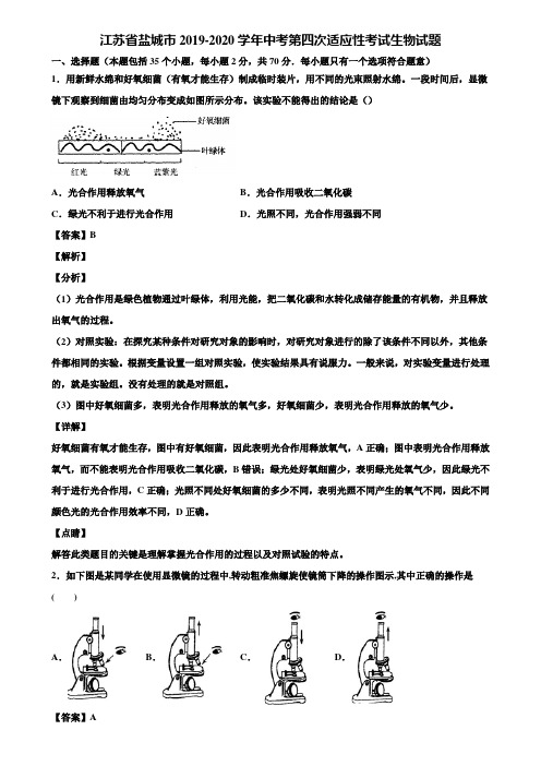 江苏省盐城市2019-2020学年中考第四次适应性考试生物试题含解析